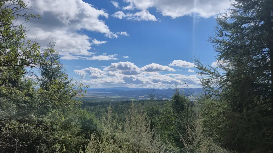 Valley Framed by Larch