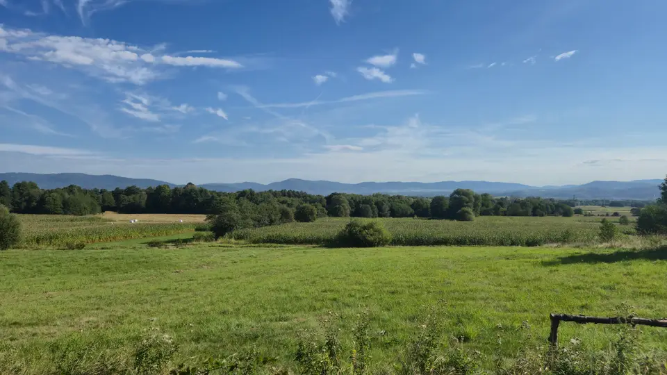 Cornfield Meadow to Blue Peaks