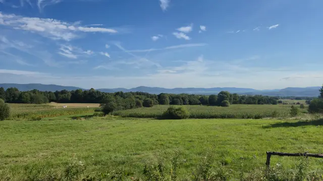 Cornfield Meadow to Blue Peaks