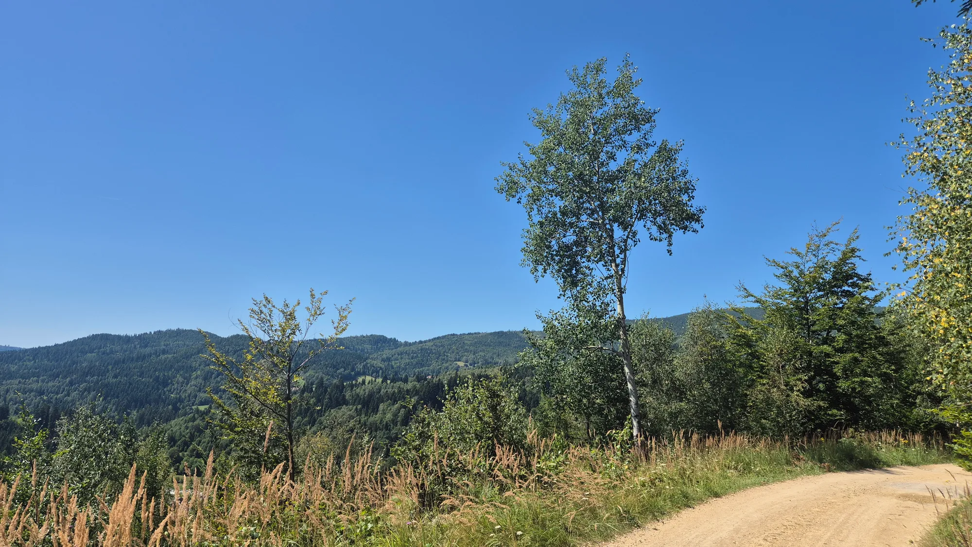Path Toward the Hills