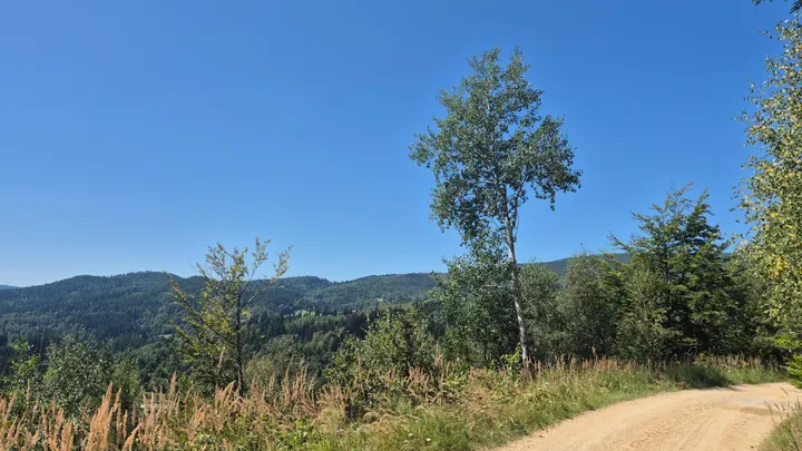 Path Toward the Hills