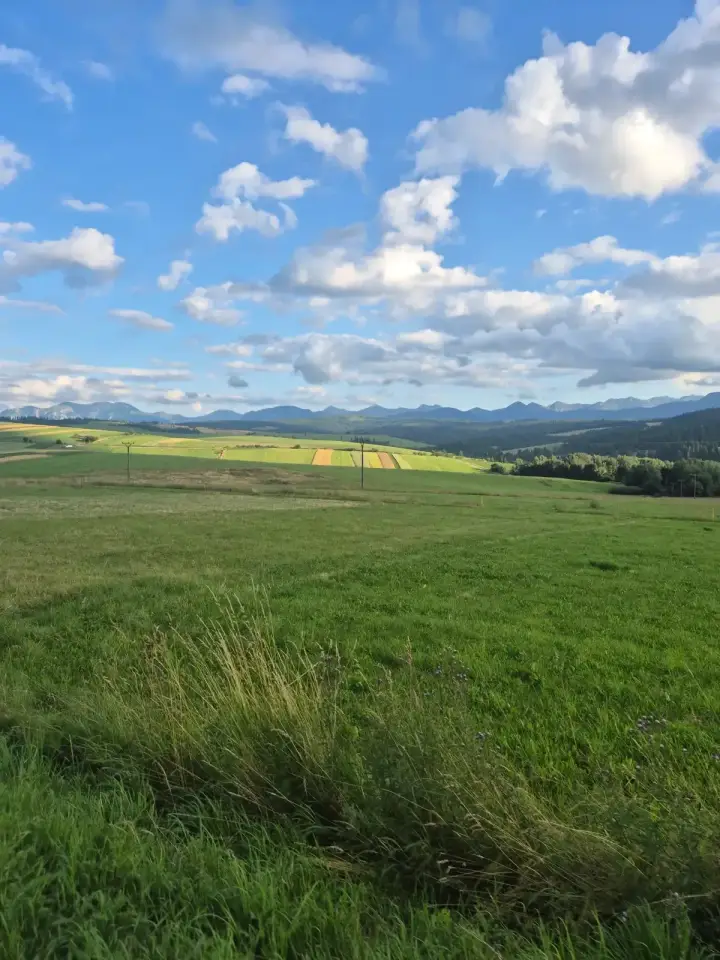 Pasture Strips to the Tatras