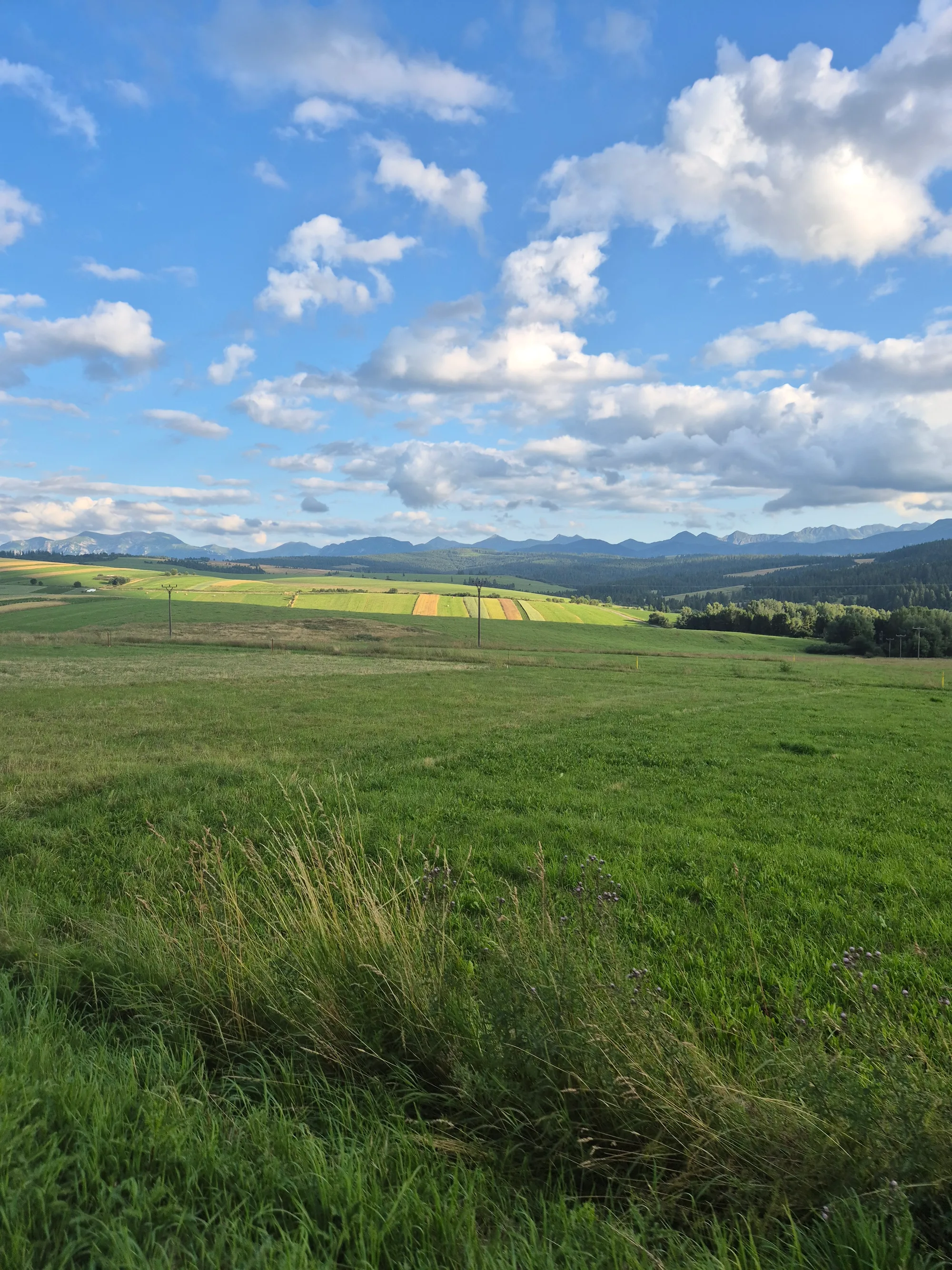 Pasture Strips to the Tatras