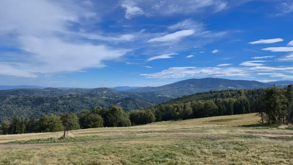 Meadow to the Far Summit