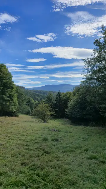 Meadow to the Twin Summits