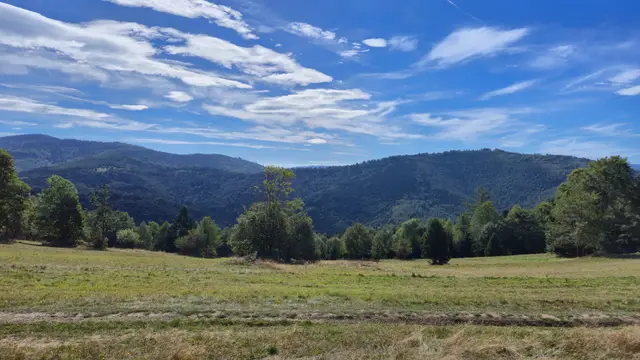 Open Meadow Under Forested Hills