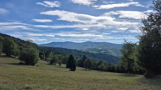 Scattered Trees Toward the Blue Ridge