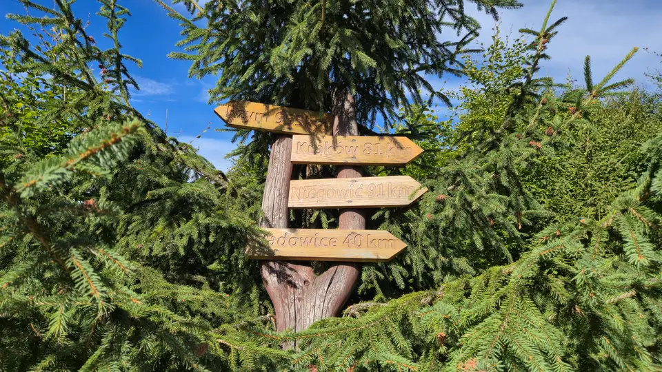 Spruce Signpost at the Junction