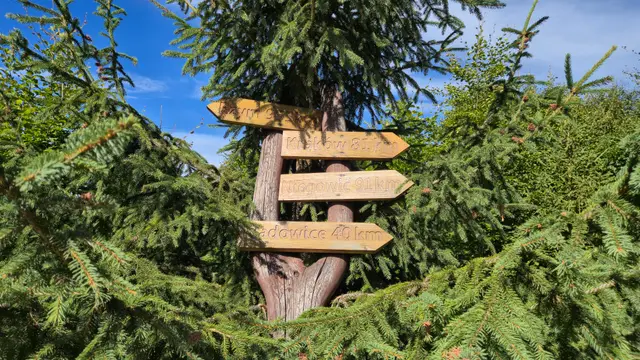 Spruce Signpost at the Junction