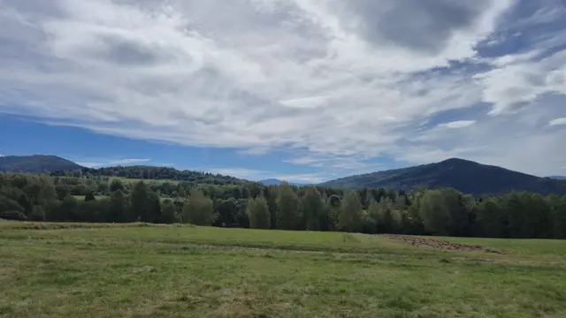 Twin Peaks Beyond the Tree Line