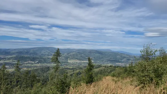 Two Pines Over the Settled Valley