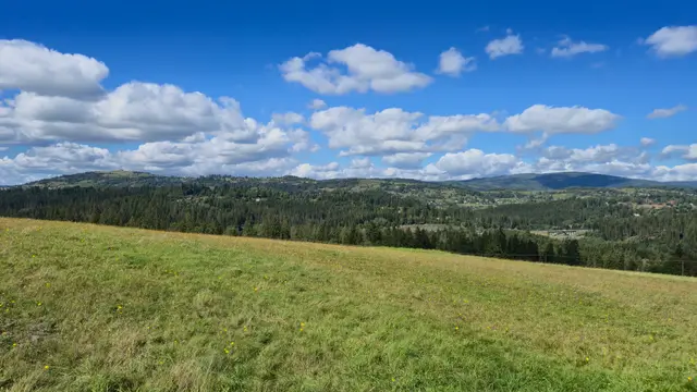Flowered Meadow to Settled Hills