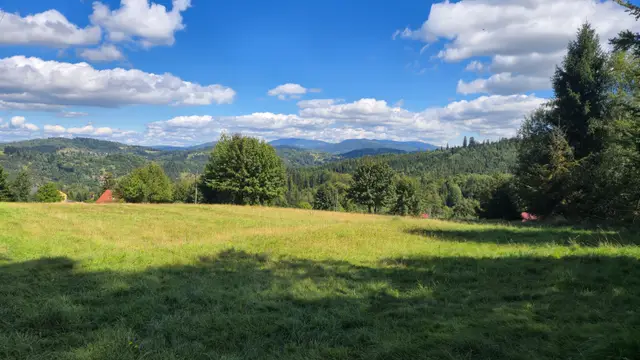 Meadow Shadows and Red Roof