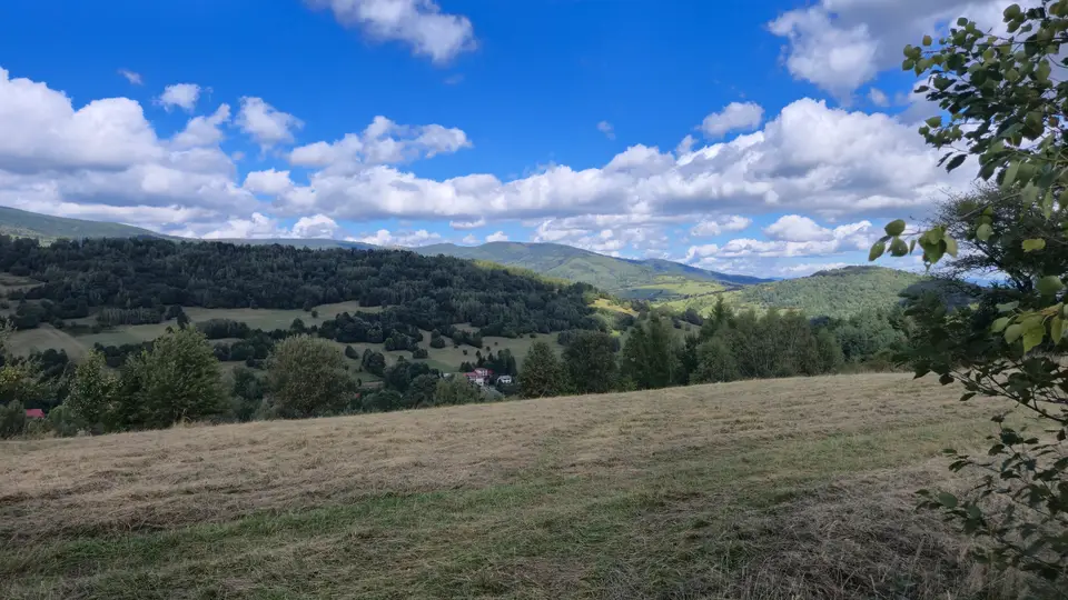 Mown Slope to the Village Valley