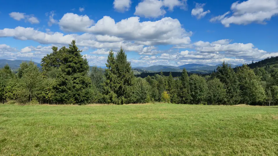 Open Pasture Under Cloud Rows