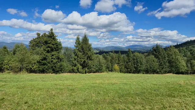 Open Pasture Under Cloud Rows