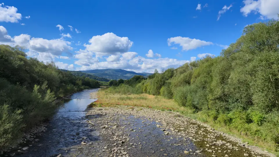 Stony River to the Forested Peaks