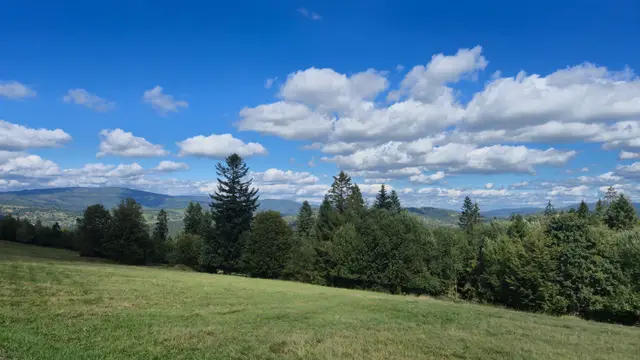 Treeline to Hazy Blue Peaks