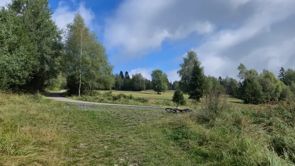 Bike on the Meadow Path