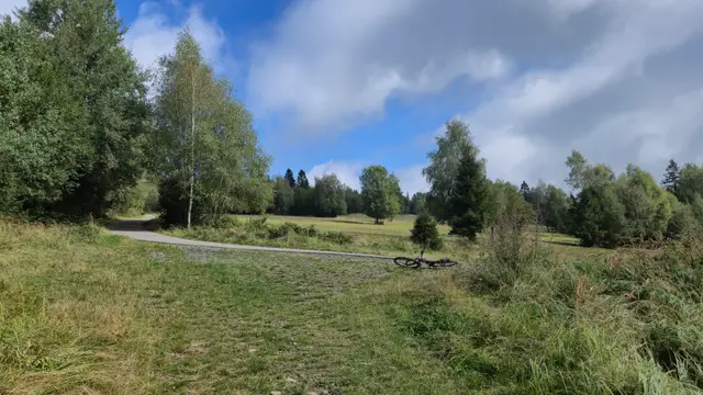 Bike on the Meadow Path