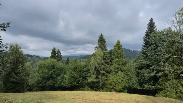 Meadow Edge Under Dark Cloud