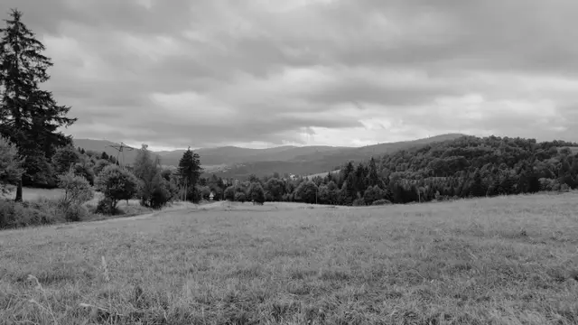 Open Meadow to Layered Beskids