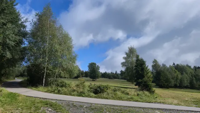 Paved Path Across the Pasture