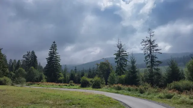 Road Curve Toward the Misty Slope
