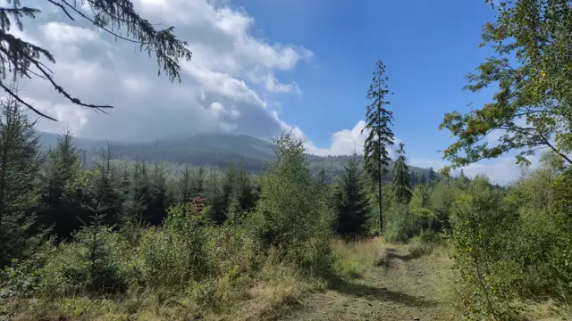 Track to Cloud-Capped Peaks