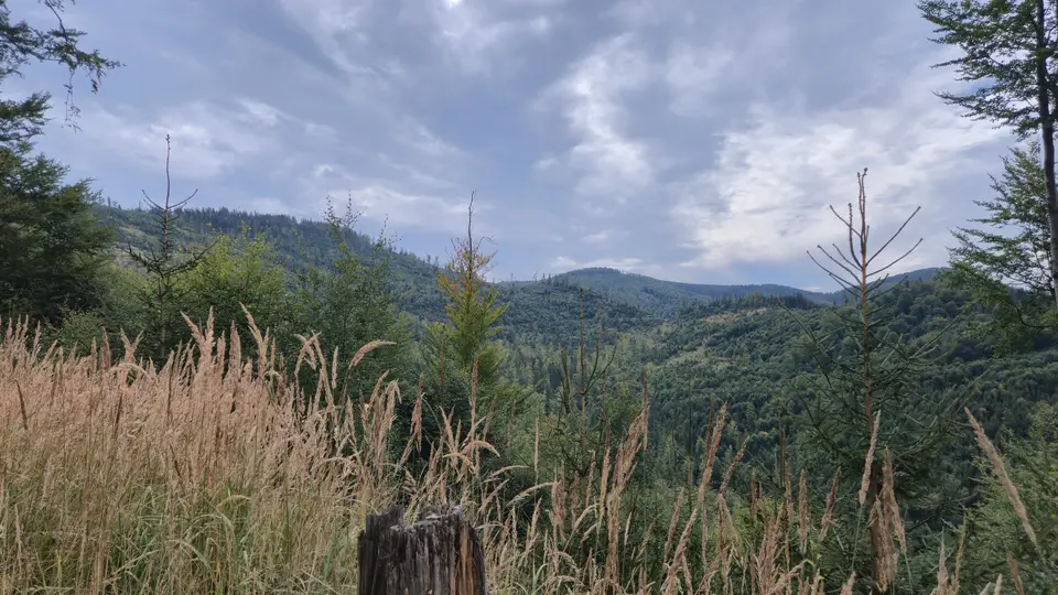 Dry Grass to the Valley Viaduct
