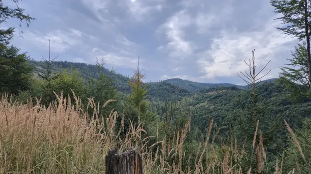 Dry Grass to the Valley Viaduct