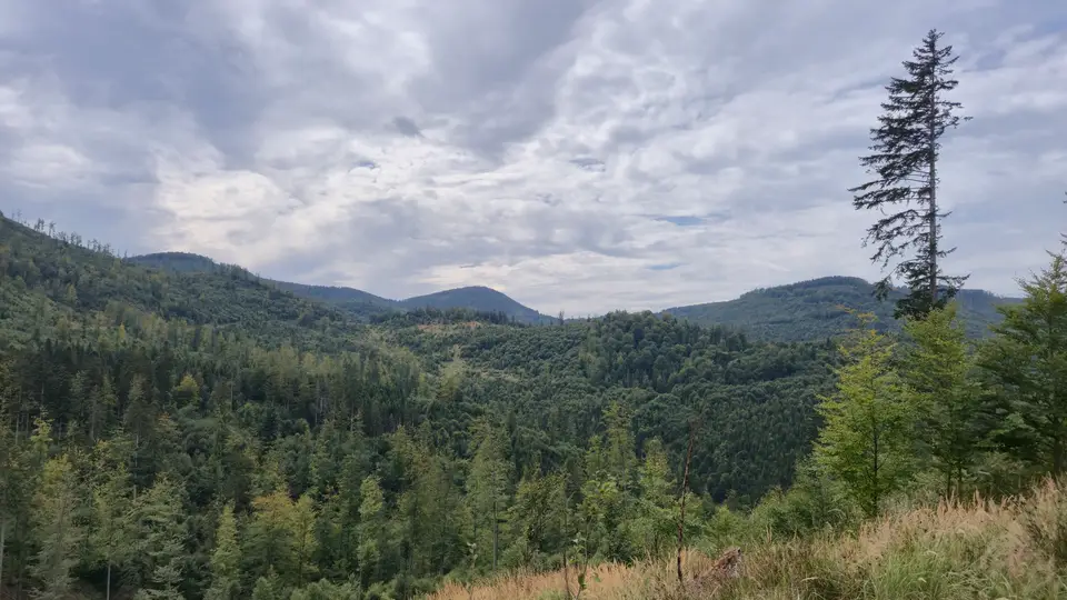 Ridge Waves and Valley Span