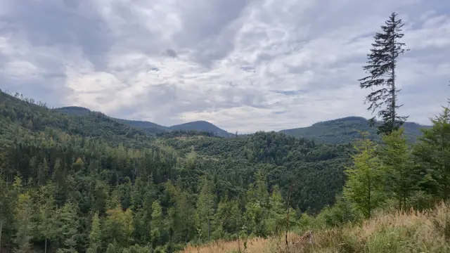 Ridge Waves and Valley Span