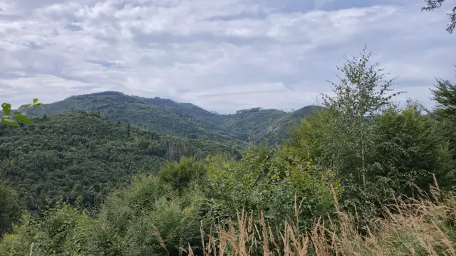 Wide Overlook to the Viaduct