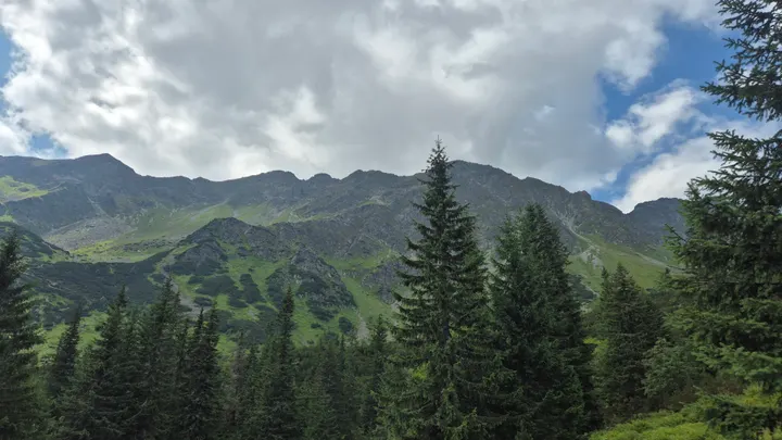 Ridge Above the Firs
