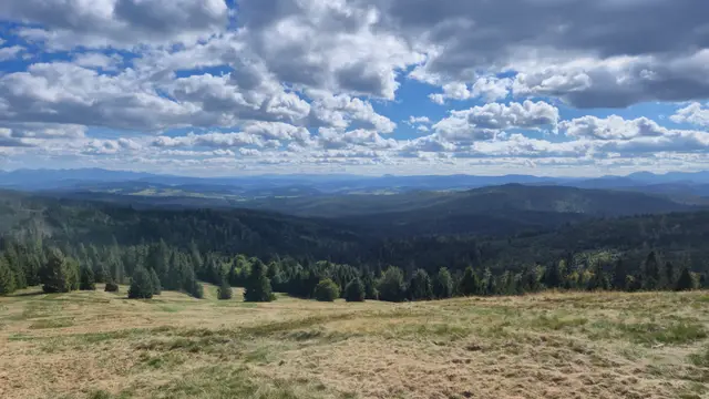 Dry Meadow Over Rolling Green