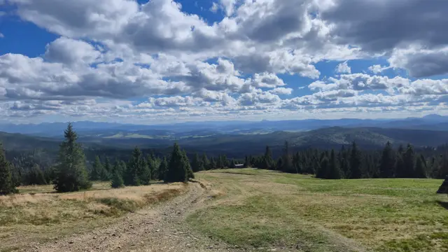 Gravel Track and Lonely Hut