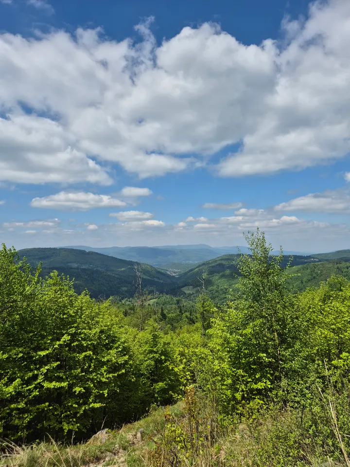 High Pasture Lookout