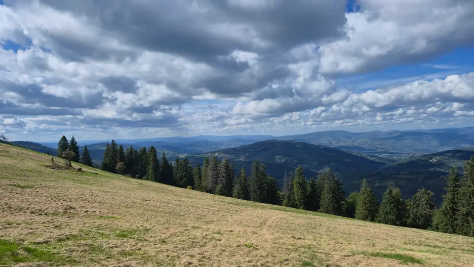Meadow Edge Over Layered Beskids