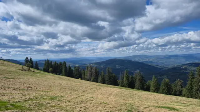 Meadow Edge Over Layered Beskids