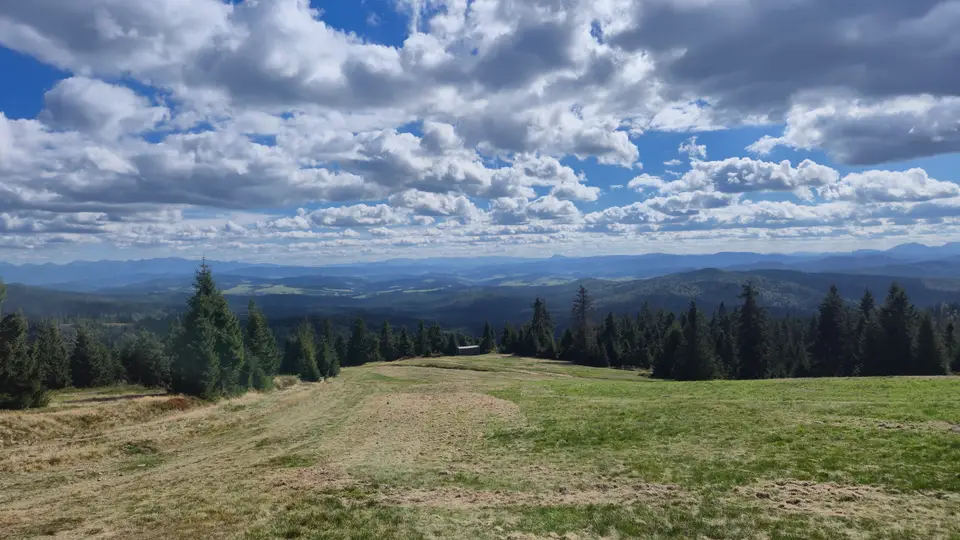 Meadow Shelf and Dark Shelter
