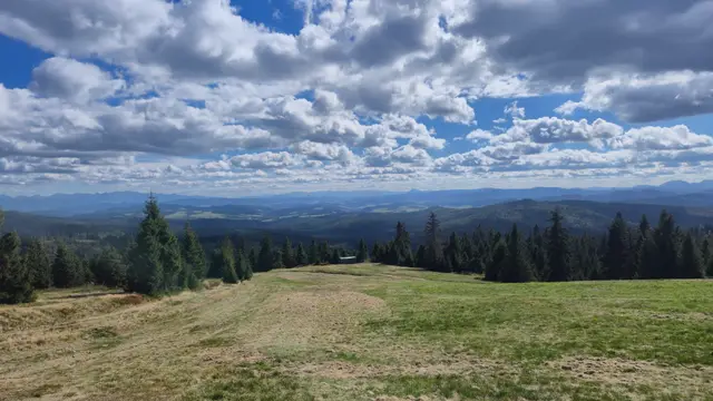 Meadow Shelf and Dark Shelter