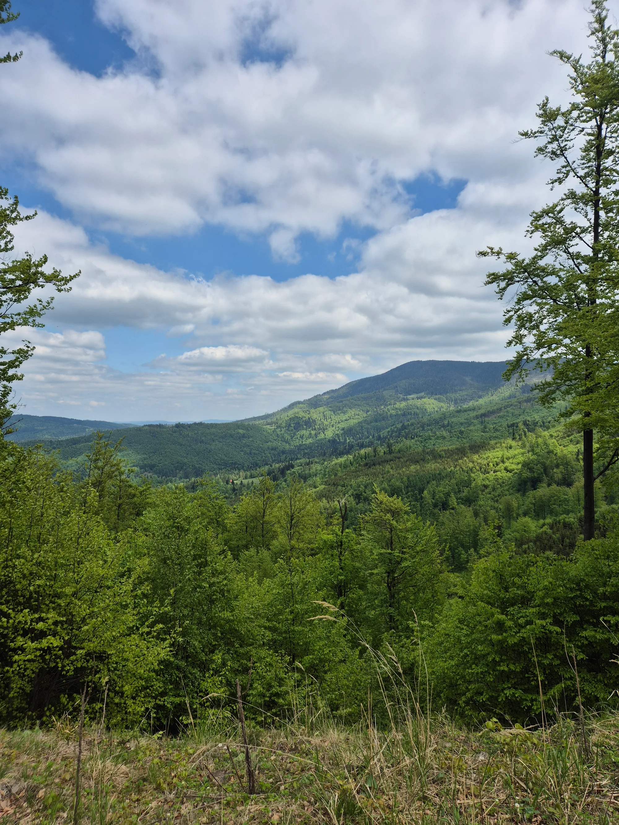 Noon Ridge Breeze