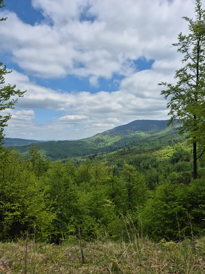Noon Ridge Breeze