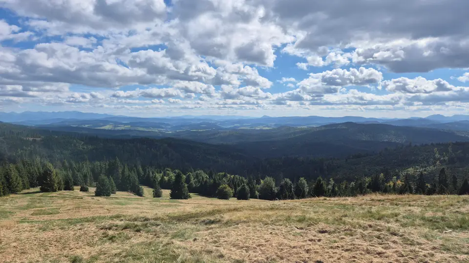 Pasture Edge Over the Forest Bowl