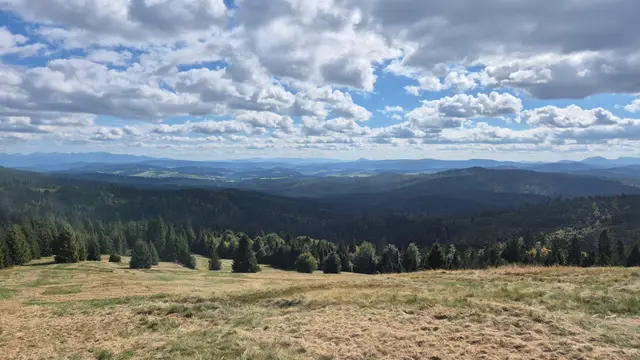 Pasture Edge Over the Forest Bowl