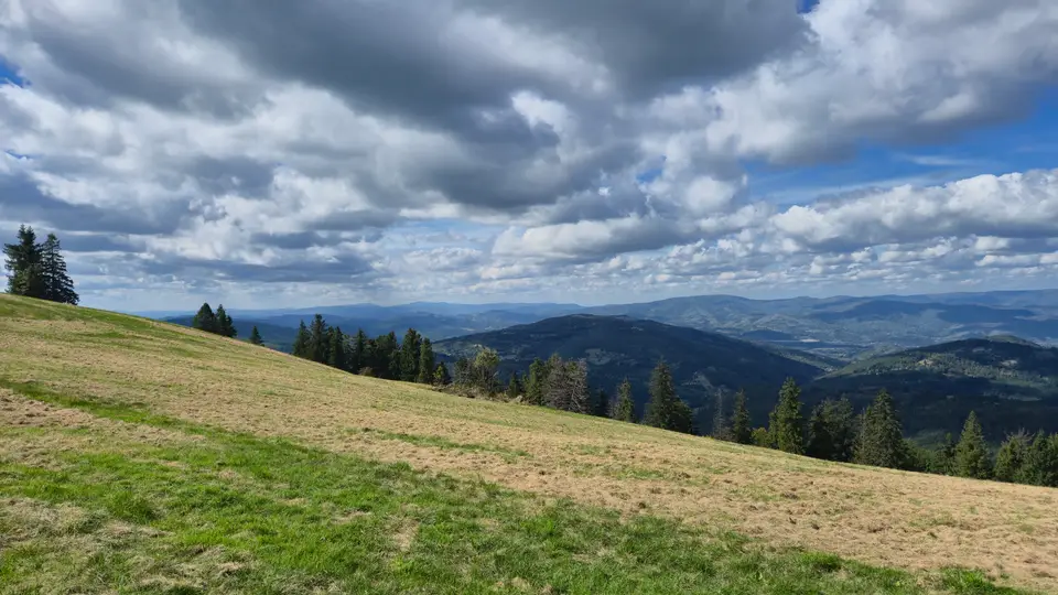 Steep Meadow to the Dark Ridge