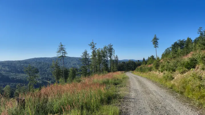 Curving Ridge Path