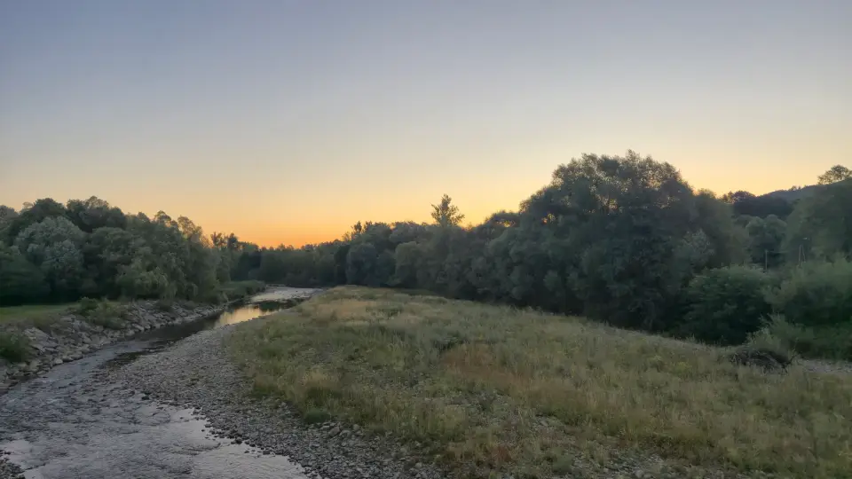 Dawn River and Meadow