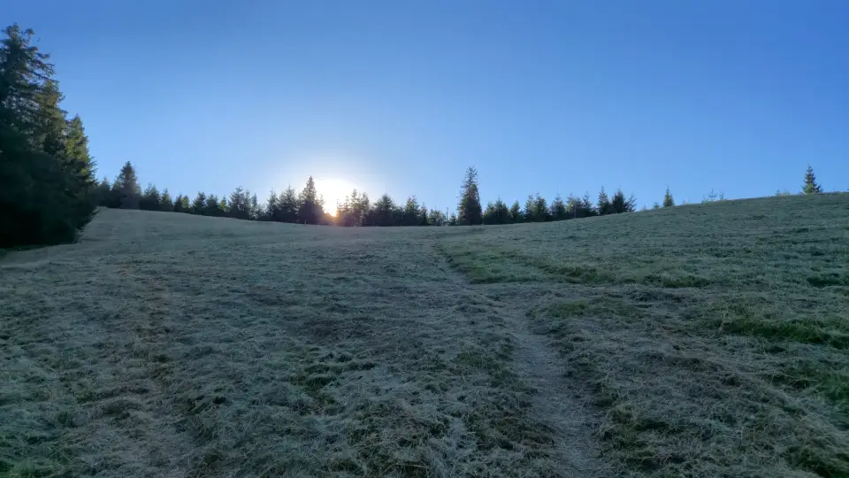 Frosted Hala Sunrise
